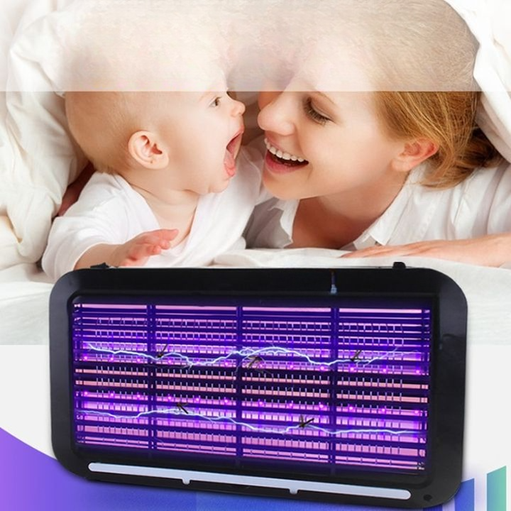 Lampe Anti Moustique Tigre Noire 2 Lampe Anti Moustique Tigre Noire