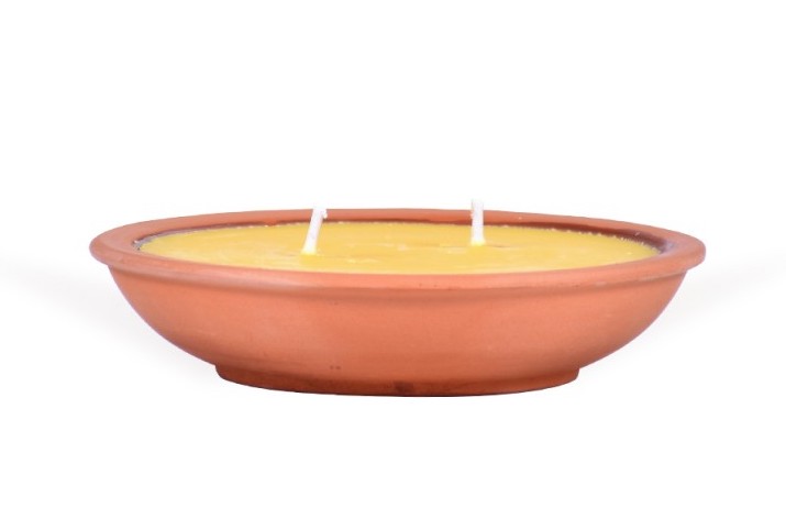 Comment lutter contre les moustiques tigres ? 5 Citronnelle Anti Moustique