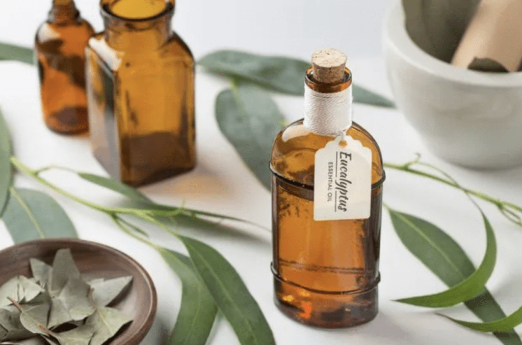 Eucalyptus Anti Moustique