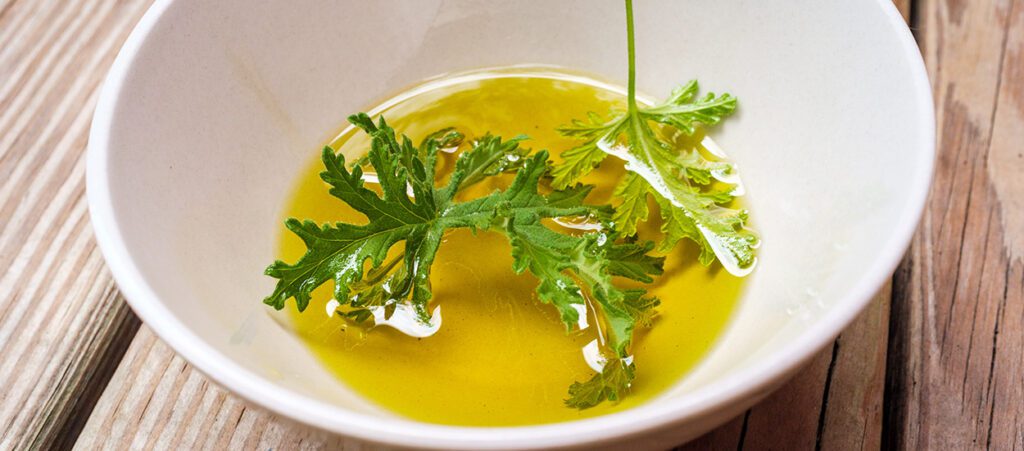 Solution Anti Moustique